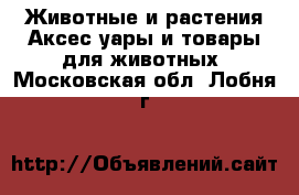 Животные и растения Аксесcуары и товары для животных. Московская обл.,Лобня г.